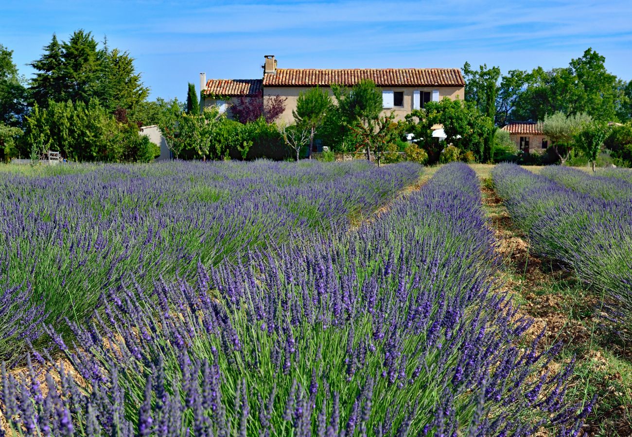 Villa in Apt - Vue Saignon