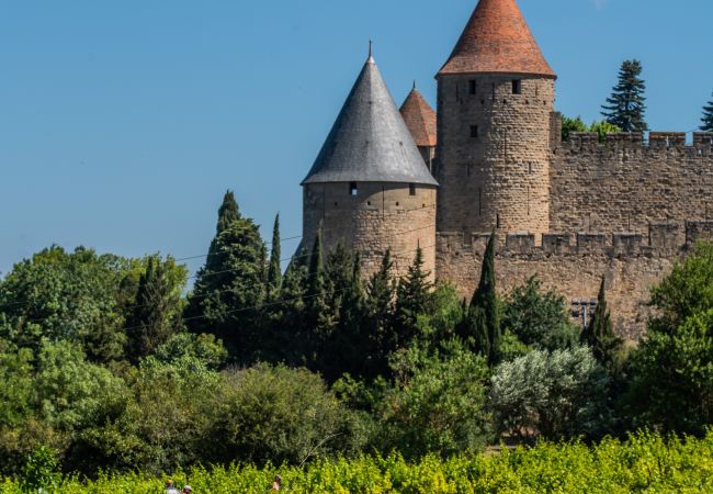 Villa in Carcassonne - Villa Coeur de Vignes