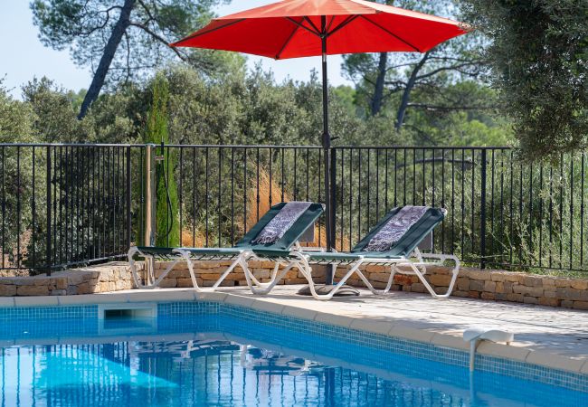 Photo de la piscine avec chaises longues et olivier à la Villa 83SYGU à Lorgues, Provence, entourée de beauté naturelle