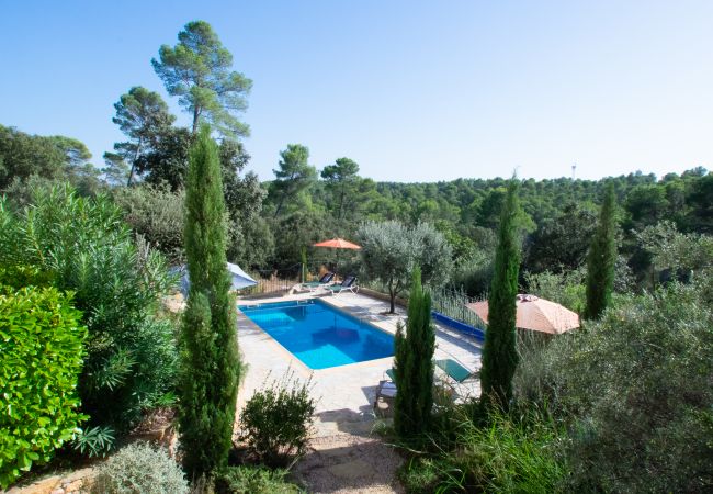 Villa 83SYGU avec piscine, terrasse ensoleillée, chaises longues et parasols au cœur de la nature - Lorgues - Provence