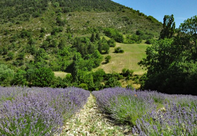 06LOUB vakantiehuis nabij lavendelvelden en parfumstad Grasse - Cabris, Côte d'Azur