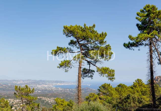 Villa in Saint-Jean-de-l'Esterel - HSUD0036 - Villa Sun Croisette