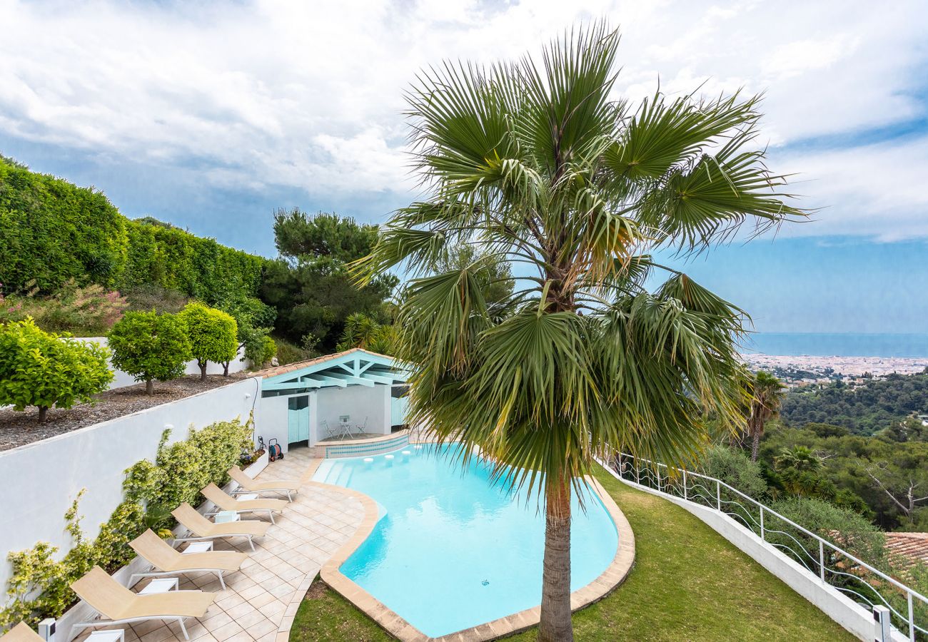 Pool and garden view